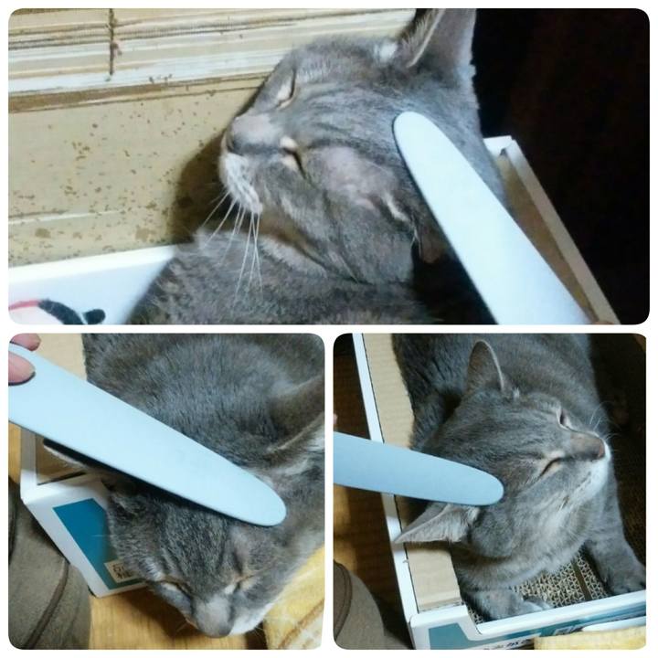 0309dc3c dc9a 46dc a9b5 30f5e9842d0e 1525196146018