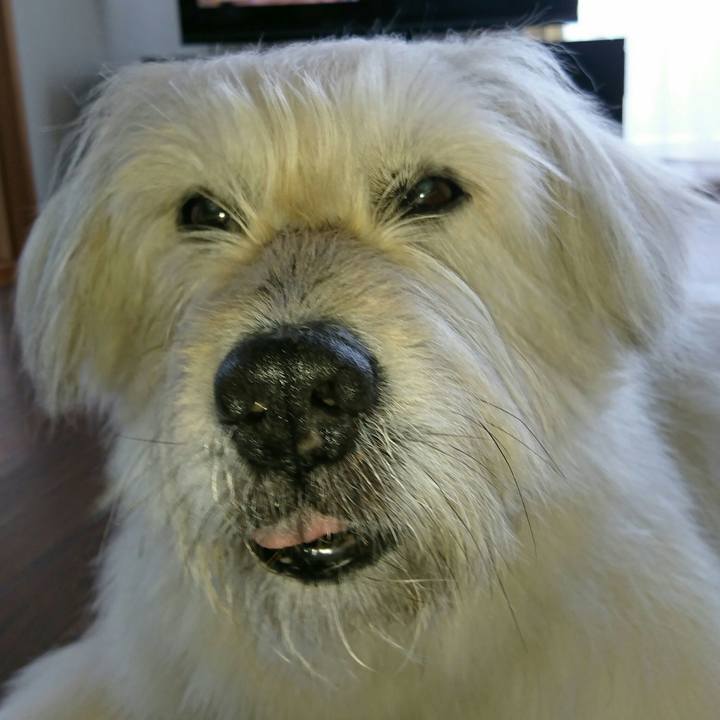 0309e504 11cc 407b a33f 2c19b9964175 1561459330884