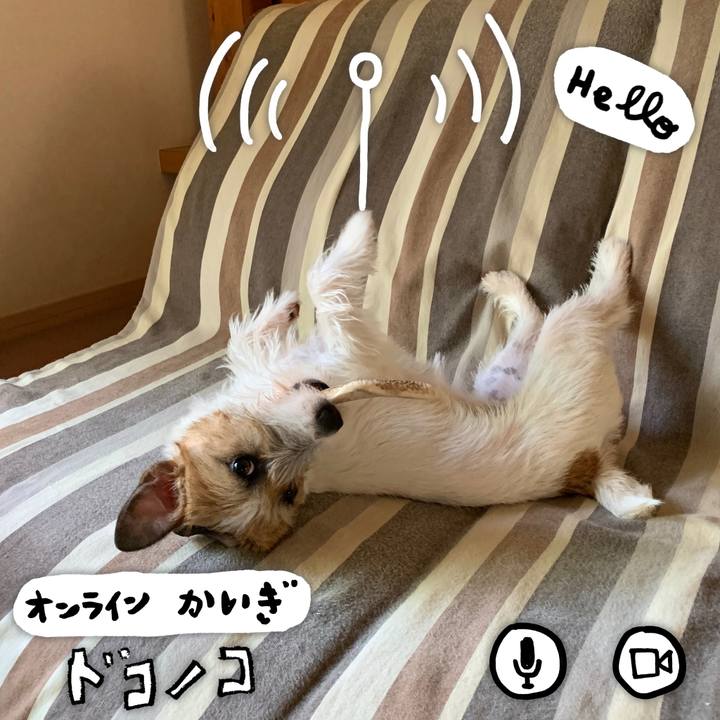 0309fe98 f631 454e 90f3 59d15b3fd031 1590736414331