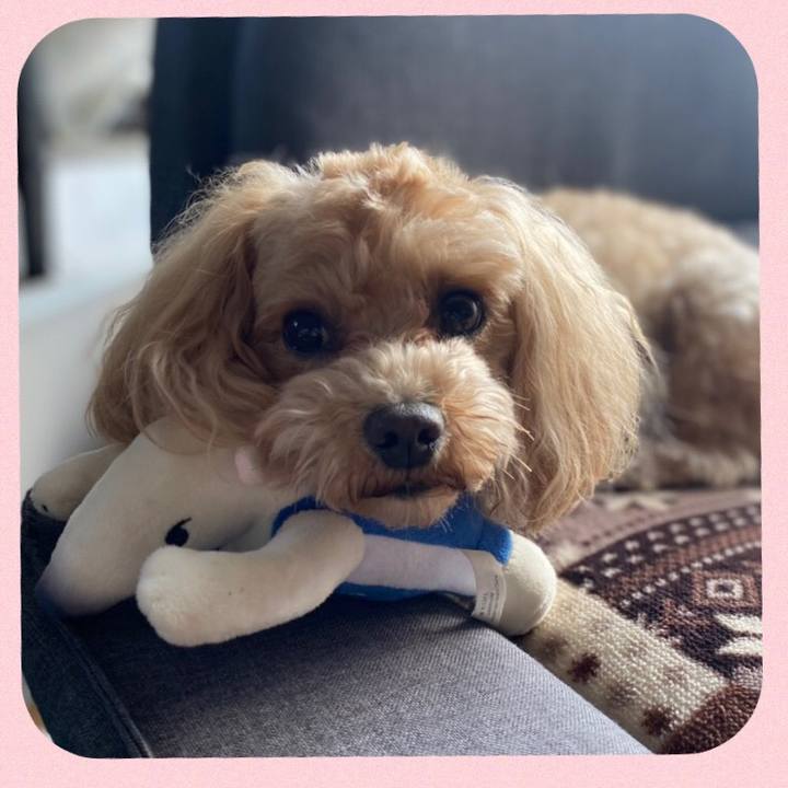 030a2ec9 3a26 4439 929f 83aba58563be 1615012588388