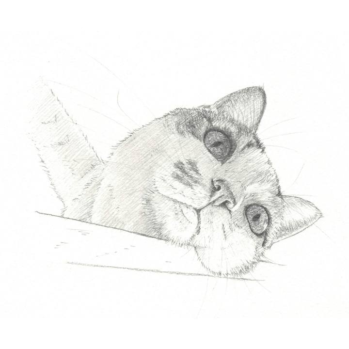 030a3e23 e812 4704 8543 789e00a21530 1550155305917