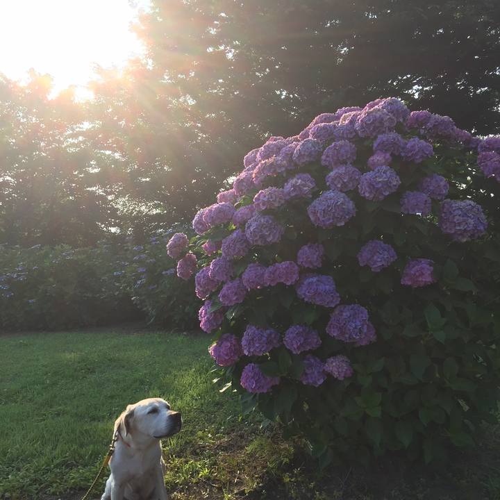 030a66fc 75a3 4758 baf0 578943459278 1558442478211