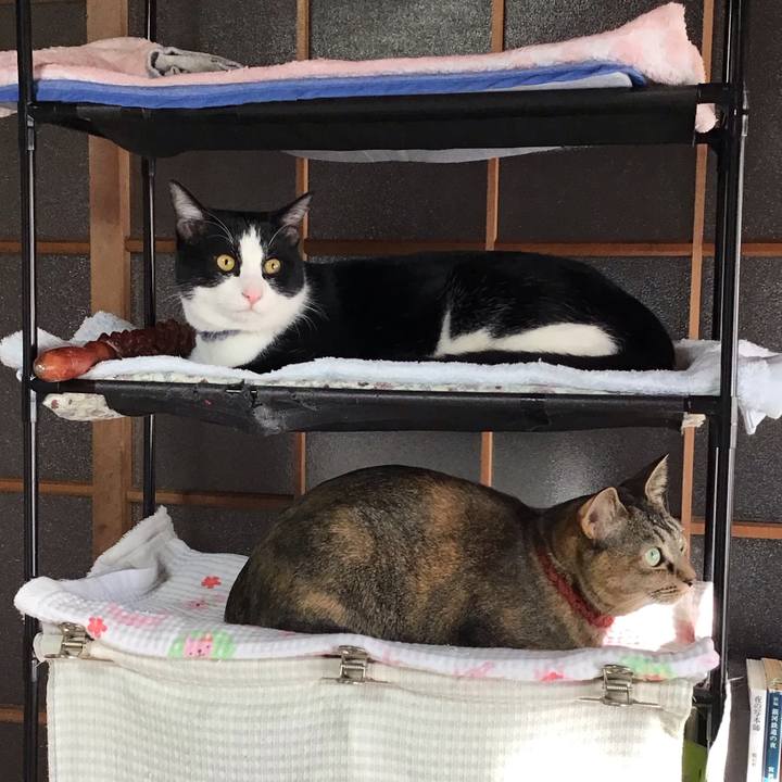 030a70bb e1ef 4163 b922 c11529a4f506 1642468940502