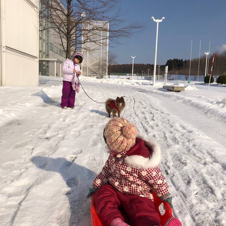 030a98c4 57df 49a2 b326 0f97d39837ae 1640841989605