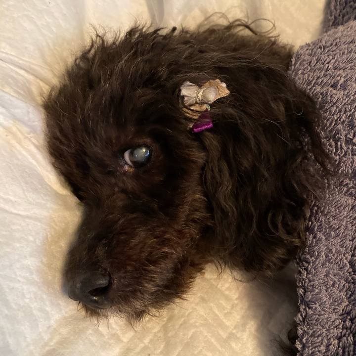 030a9e33 2e93 46c5 8af4 37f94f385dc4 1618468537395