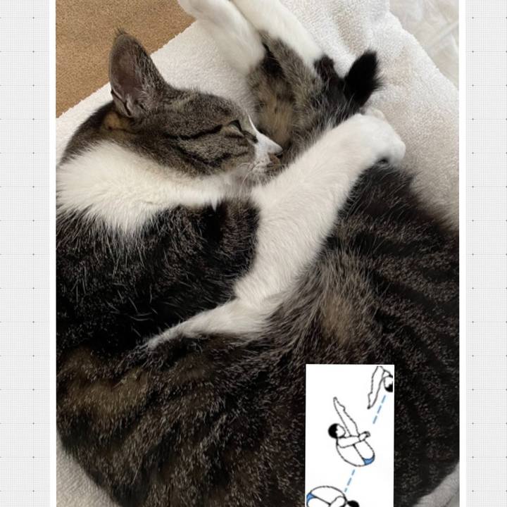 030abffb 757e 4dbf b12c 9cd2e2fa0c21 1620984153553