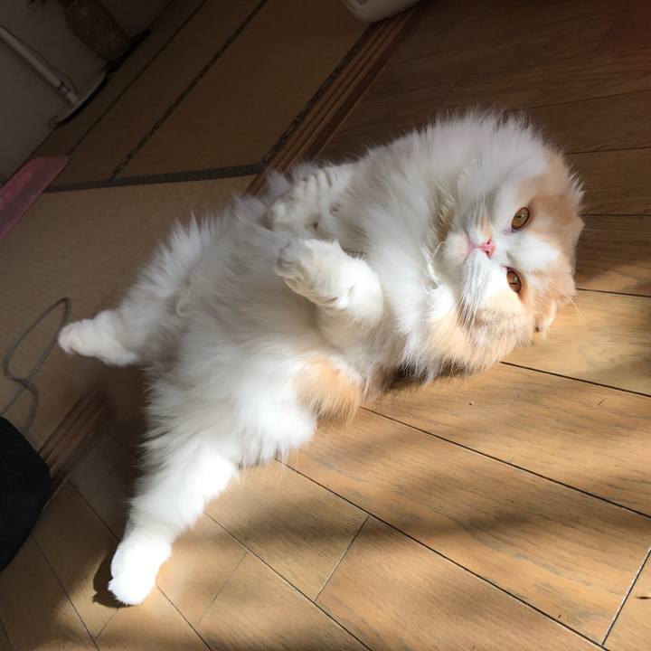 030afb1b 8339 4239 899a f4006a2f11c1 1512891837979