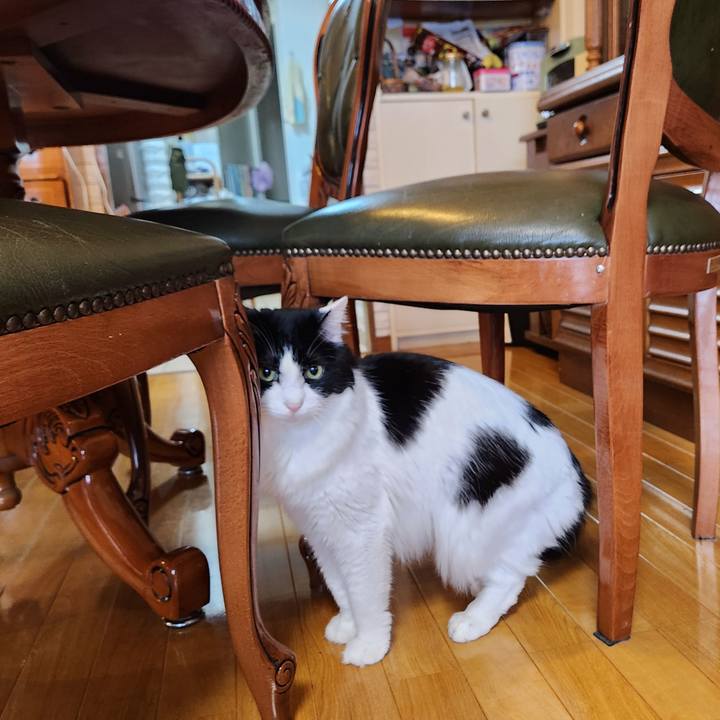 030b1d55 adab 4790 b06a 5710a465ade3 1711718737467