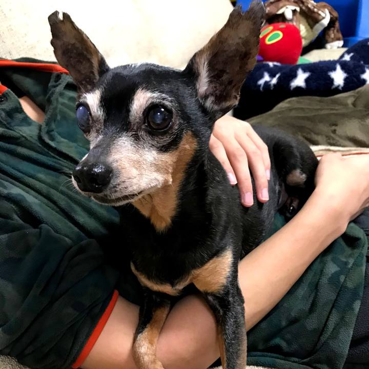 030b2a8b 5a81 48ef 8e5a d10da5787c2a 1586711781429