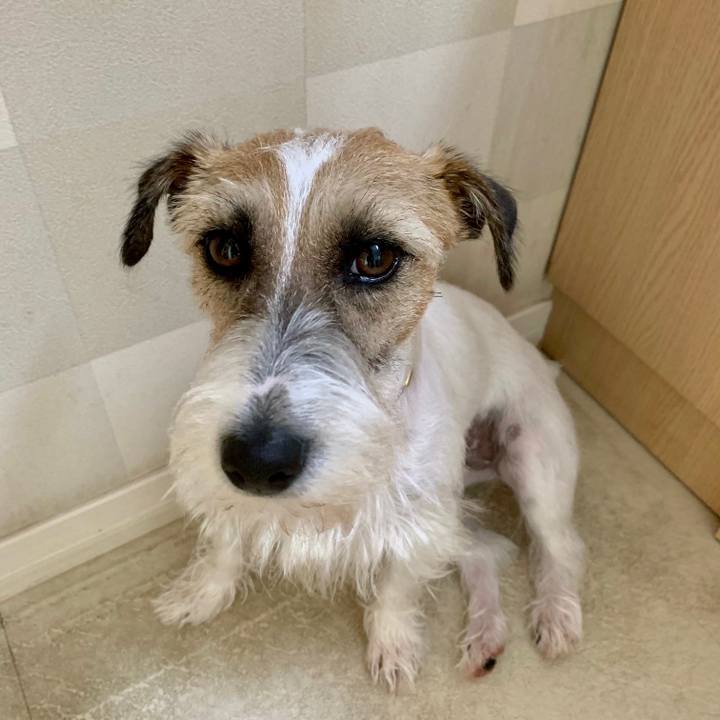 030b418b 9a1f 424c b38d 35fe4142a478 1624863583443