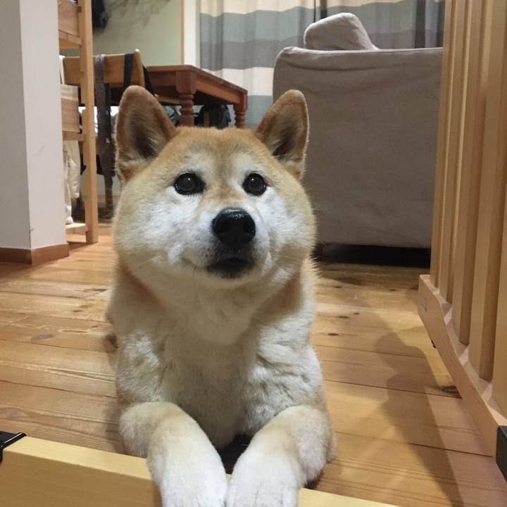 030b5894 9dbd 4665 abe4 2f359a2b59c1 1698984584991