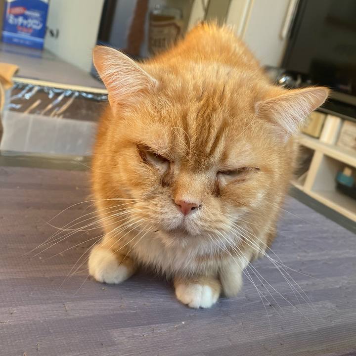 030ba30c 4580 45e3 8108 6b9133905332 1672619416803