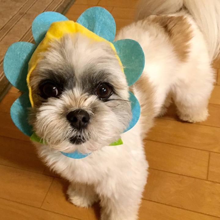 030bd8d0 6ab7 4701 9837 66ae879ca7c8 1524609443865