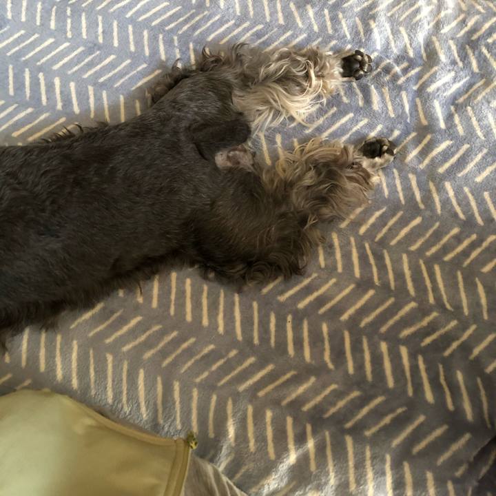 030bee64 c423 4fc5 bf00 bd5d5f7caf95 1694318004447