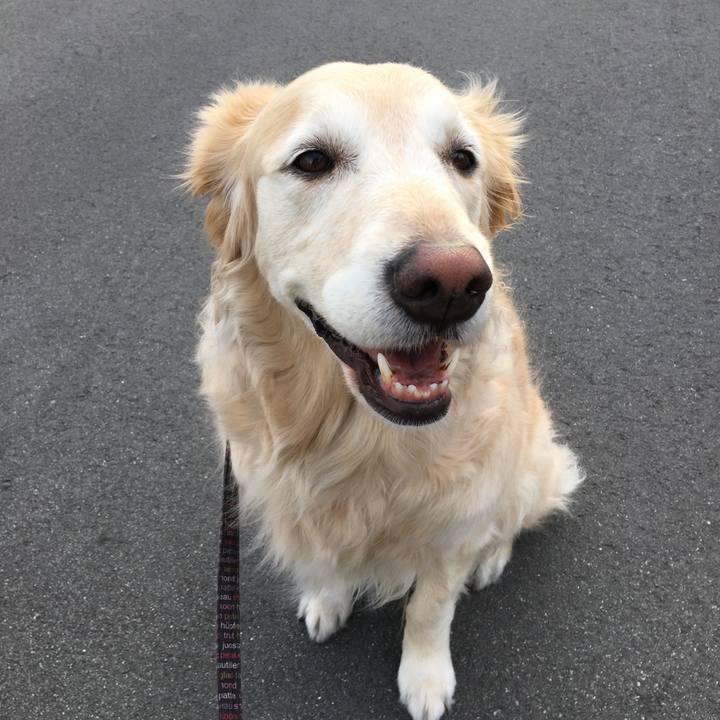 030bf732 4830 4a80 93c1 fb722caa5ed2 1559125615941