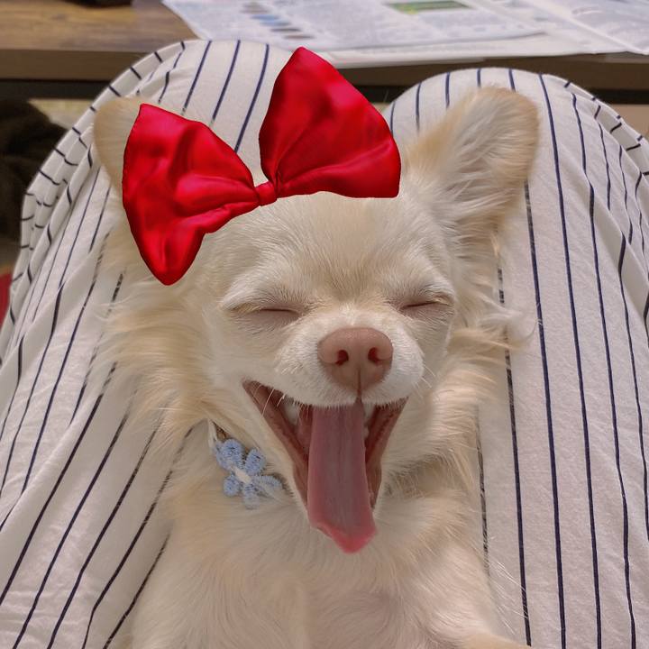 030c26c9 0271 4ebb 9250 1d2fe4e086a0 1619815952569