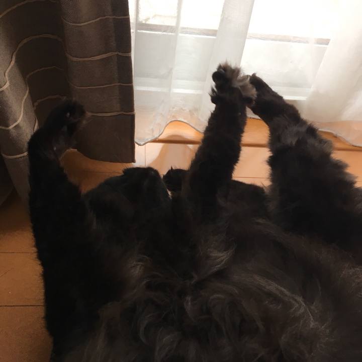 030c4f50 2f38 463e b2a8 46ffcfc69f93 1530667507728