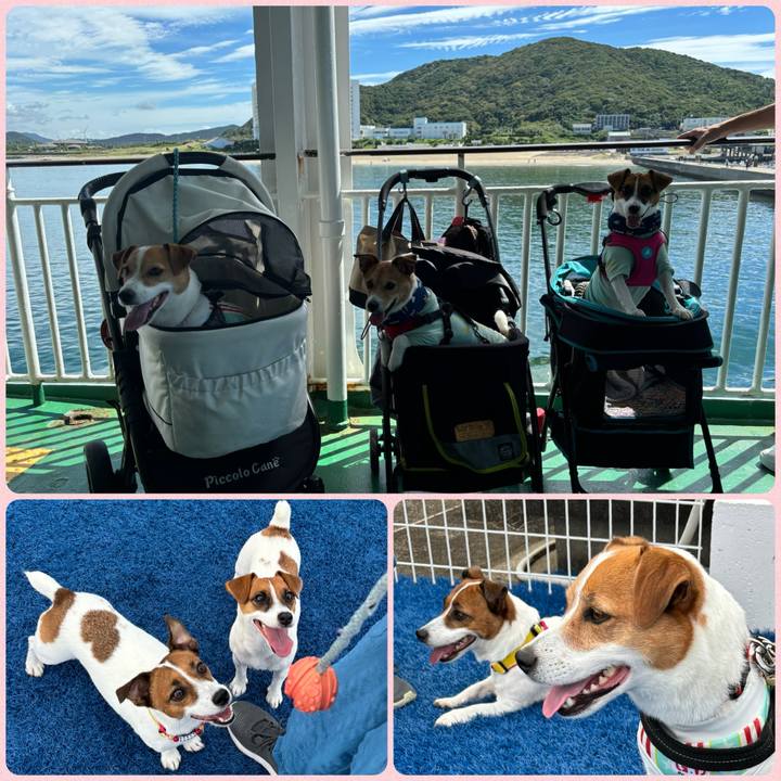 030ce3d4 5032 4124 8cd5 d961a30a586f 1726918653652