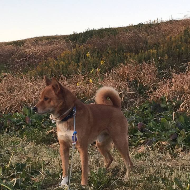 030cf38e b894 4f66 8c9c 503d1e535c35 1547868660111