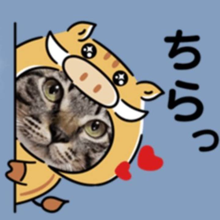 030cfec6 c370 489e 9e2e 7a42520c4fbd 1544361649278