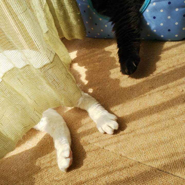 030d42ec 6a9b 4974 83c9 08614466cfb5 1522113552120