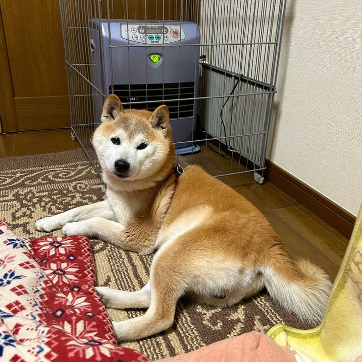 030d69a6 0b6e 4cc7 9cda 0c731563d207 1742384337282