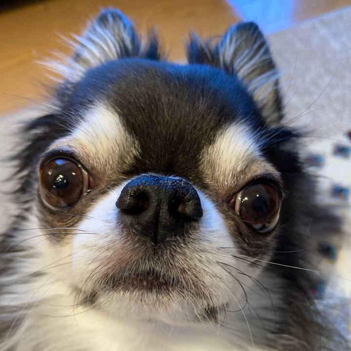 030d980b d44a 4aca b7ab 70230f32a4fd 1709420910399