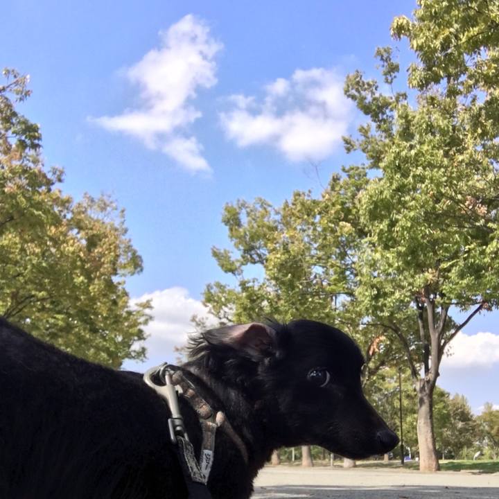 030db714 4b91 4801 9b24 48dd9afb8fc0 1539061562497