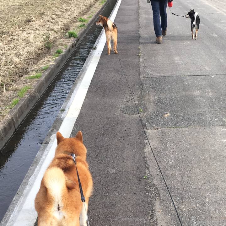 030dccfb a917 4111 86cd 6fa8ac12bf18 1555410296447