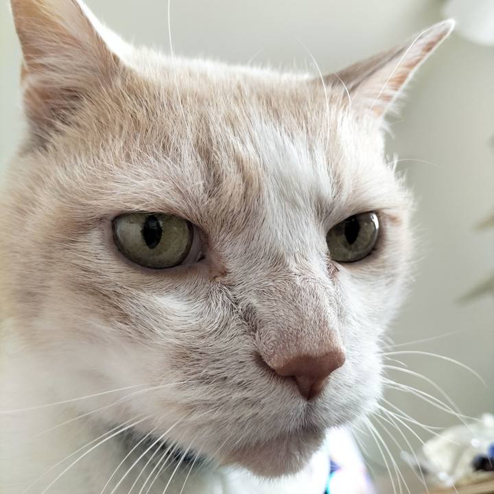 030de77b 2fad 4785 8a88 1c197c87f9e2 1683326605331