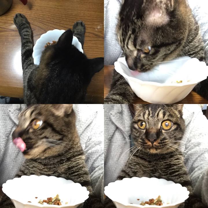 030de985 9347 4314 a11c 1dce1117825a 1584312292442