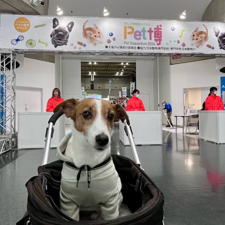 030ea308 8a93 408d b238 7af8e68cd272 1704717848718