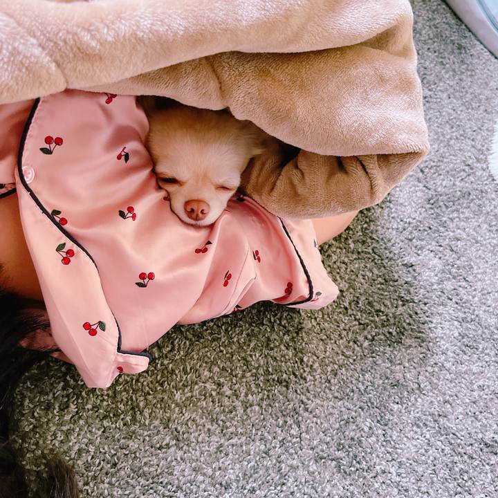 030ee1f8 3ae9 4017 8f44 b54df1d54d42 1651369790869