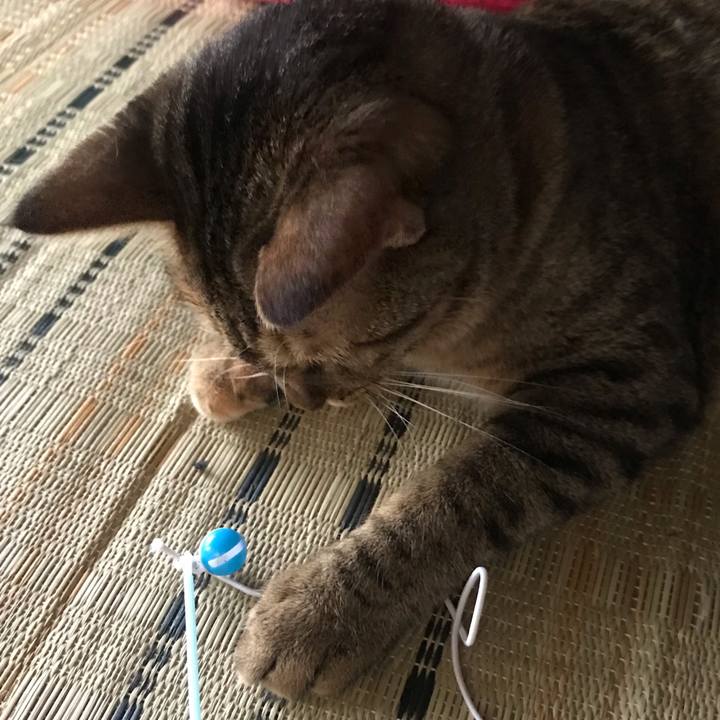 030eff5d a422 49e2 a5df 6724a7ba109f 1594770574008