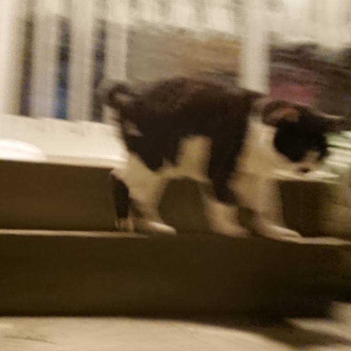 030f0717 f2f1 459b 87c6 9192dc518edc 1694696565878