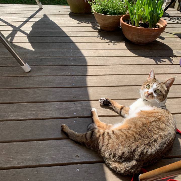 030f0f69 91f2 4d89 8796 6eee881c4168 1585962190101