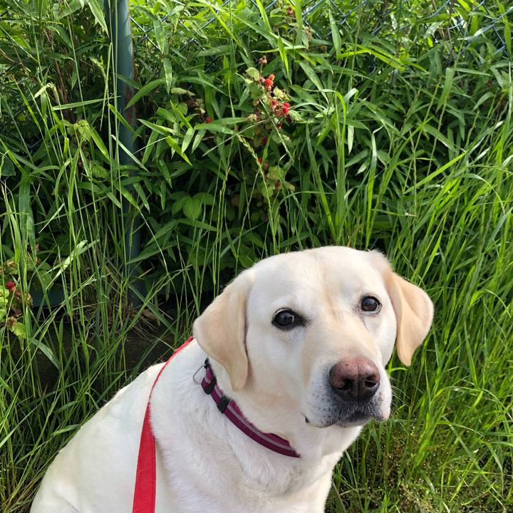 030f3373 7463 47e0 a251 34bbbf9092c4 1652143739312