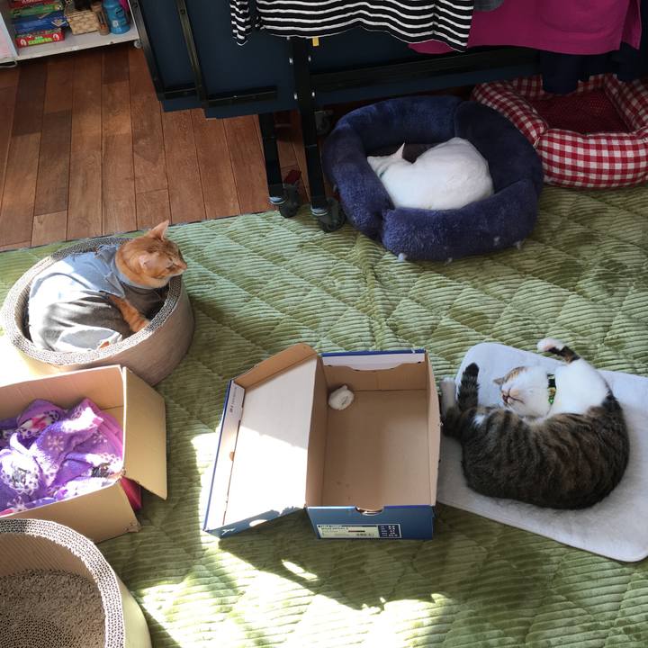 030f3ef6 986a 46be 8e28 06019b32527e 1540442286411