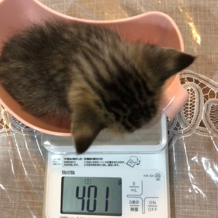 030f4916 6421 467b 80d0 1b9e8f3aa175 1539442391480