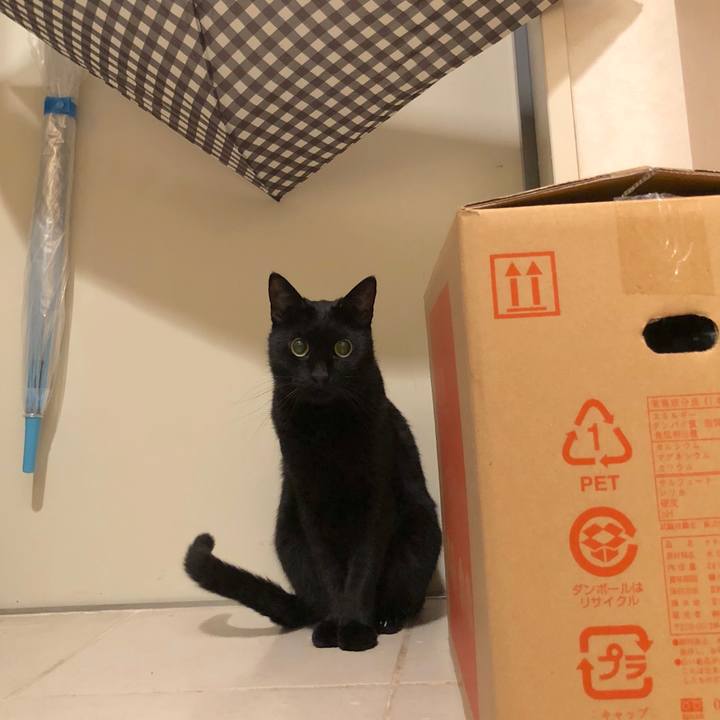 030f4a3f beaf 4dd4 b275 c83c0c29163d 1540128222587