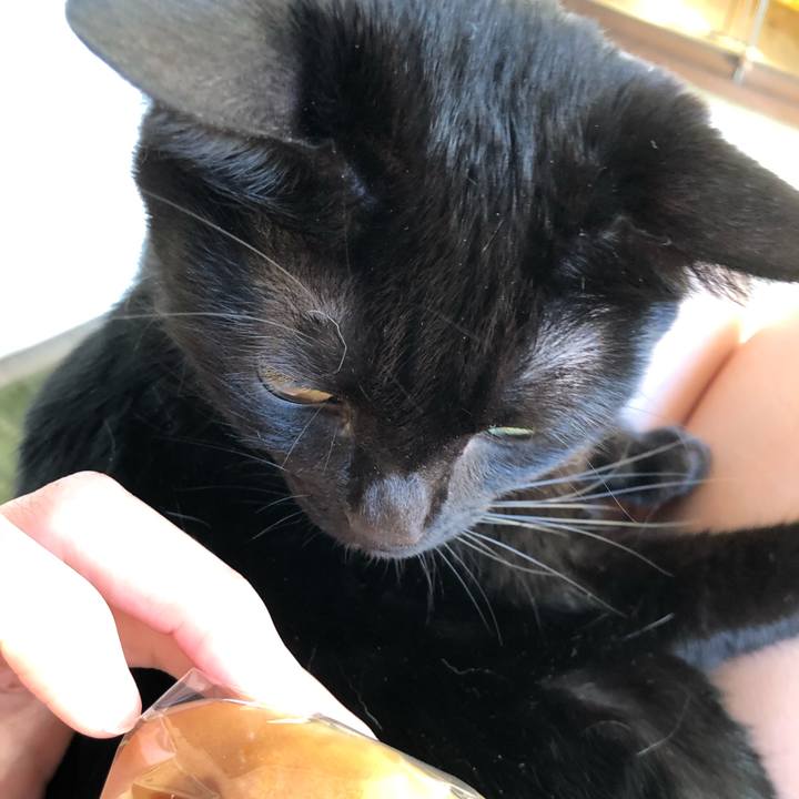 030f56cf d878 4c65 b3a9 116d9e74a428 1573857391812