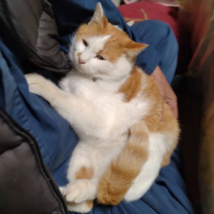 030f6974 7d3f 47ce bb28 8a16703f68fb 1770378018309