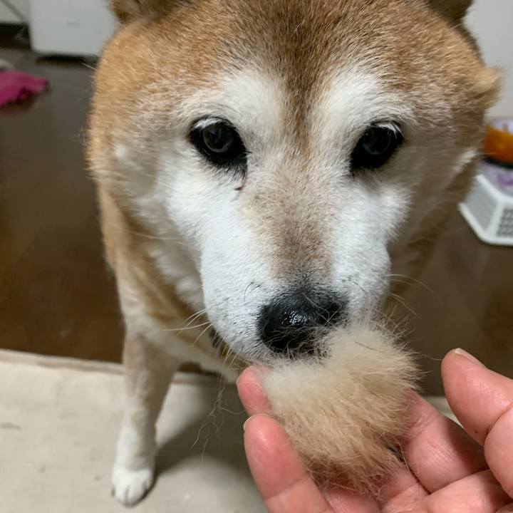 030f714d 7f10 47c4 9e33 e436d3a37a73 1581161324383