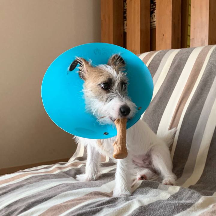 030f7eb9 1832 4a74 8d1b d2c3e222870d 1569902913746