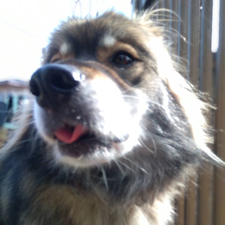 030fca5c 10e5 434e a40f 01e893ec3529 1581228738947