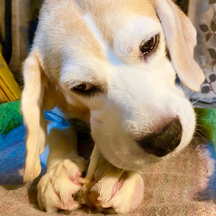 03101eb5 4b18 43d2 b76d f4c662fc052e 1599571500925