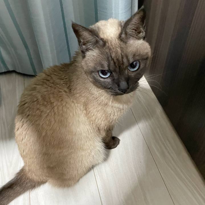 03103357 146c 40b5 b24a ae553a1aec24 1772851283501