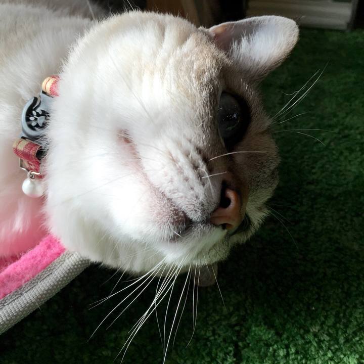 03104271 8ca2 46cf a588 1b958f5a3355 1543975927574