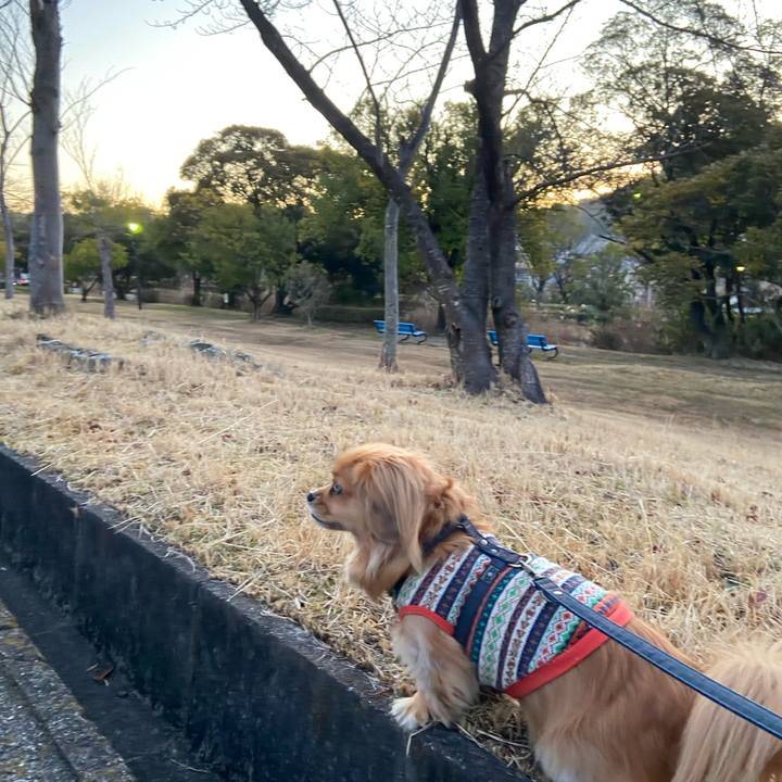 03104c74 5b3a 403b 9300 6f04061087c2 1582062151788