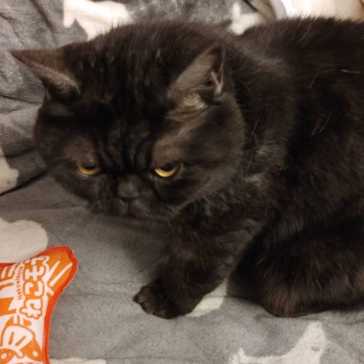 031087bb a5c4 4d7e 8db8 6999dae156c1 1617706607609